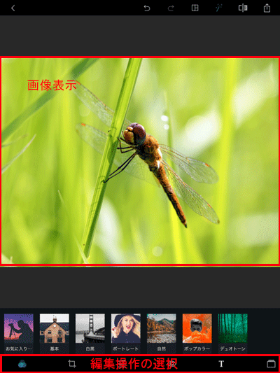 切り抜き対象のオリジナル写真の表示