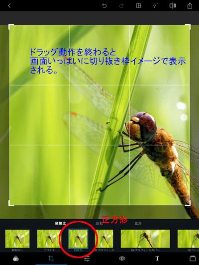 切り抜き後の写真イメージ